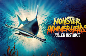 Monster Hammerheads: Killer Instinct, Season 1: Monster Hammerheads