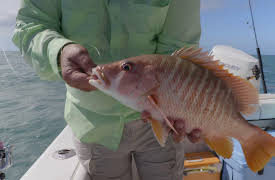 George Poveromo's World of Saltwater Fishing, Season 5: The Marquesas Trio