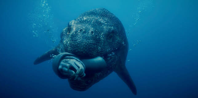 18:45: ARD Wissen | BR Fernsehen | 1/31 2026