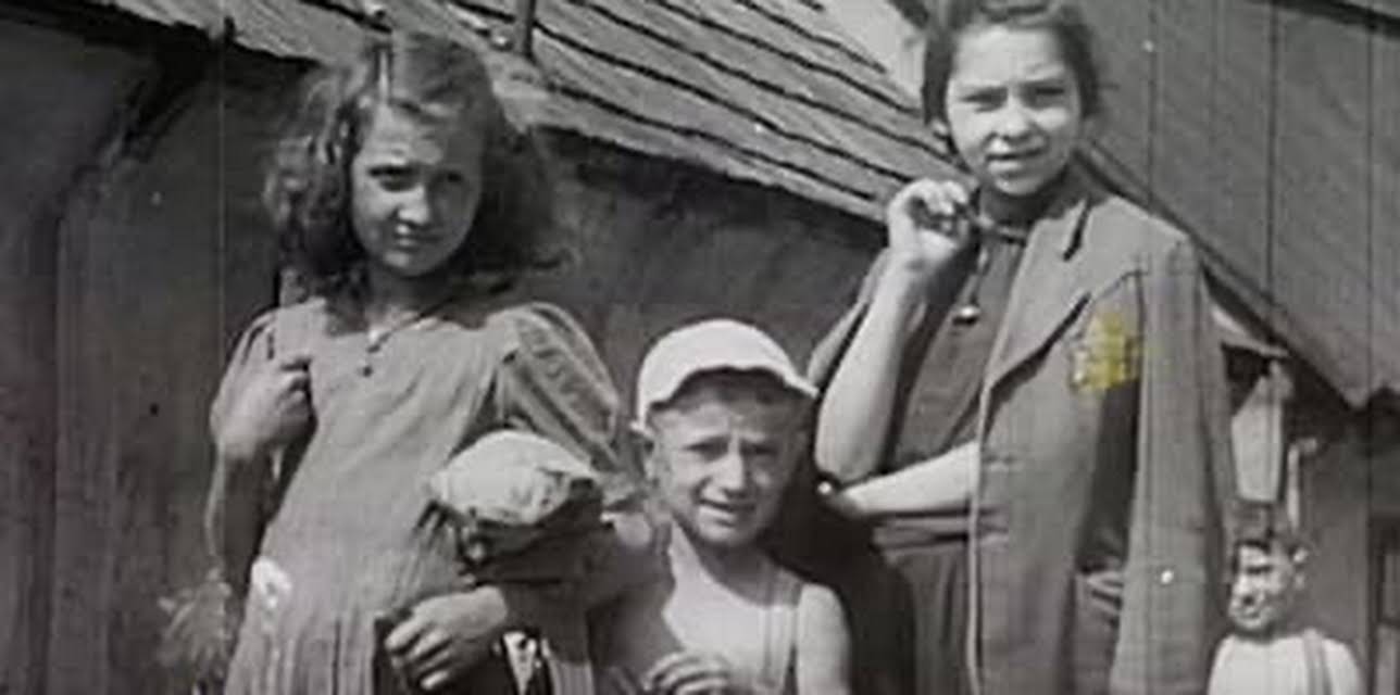 Witness Theater (2018)