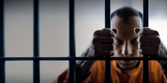 13:30: nano Doku | ARD Alpha | 12/1 2025