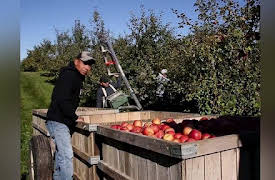 Job Jams: Apple Grower