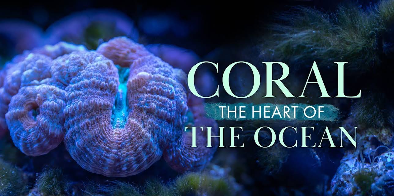 Coral Heart of the Ocean (2026)