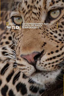 20:50: Los depredadores más letales de África: Asesinos insólitos | Nat Geo Wild | 3/17 2026