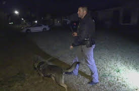 Live PD: Greatest Shifts Season 1: Live PD: Greatest Shifts - 614