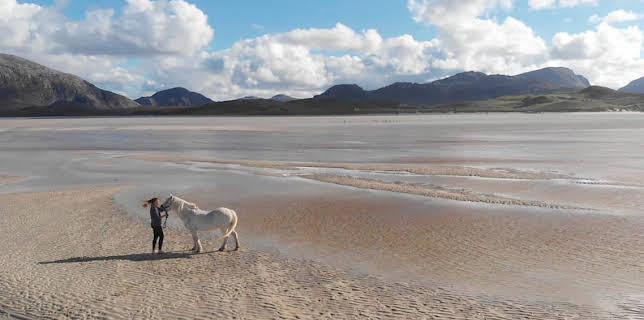 7:00 PM: Miann na Maighdinn-mara/Mermaid Tales (S1 E3) (S1) | BBC Alba | 11/1 2025