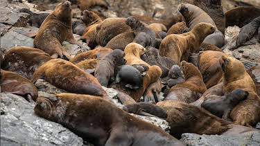 16:20: Grandes Documentales La Corriente De Humboldt | LA 2 | 3/30 2026