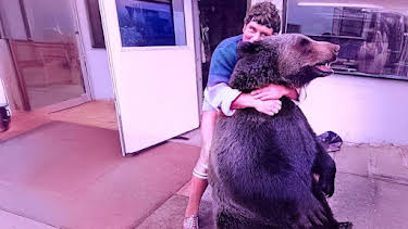 7:00 PM: Hercules the Bear - A Love Story | BBC Two | 12/30 2025