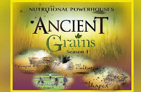 Ancient Grains Series: Amaranth
