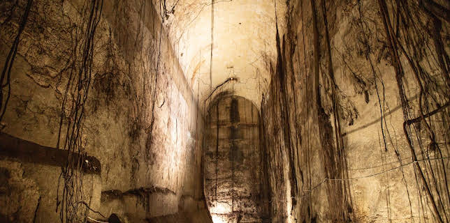 03:30: Geheime Welten - Reise in die Tiefe | ZDFinfo | 10/29 2025