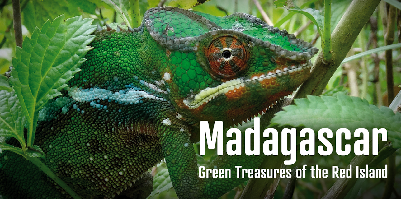 Madagascar, Green Treasures of the Red Island (2014)