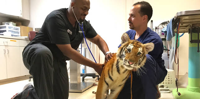 07:40: The Vet Life (S1 E5) (S1) | Animal Planet | 12/28 2025