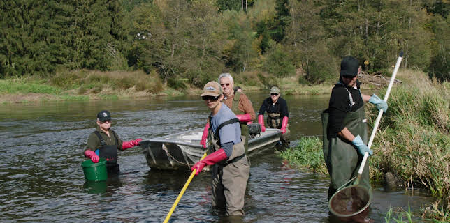 13:20: Bayerisch Kanada - Der Schwarze Regen | 3SAT | 11/18 2025