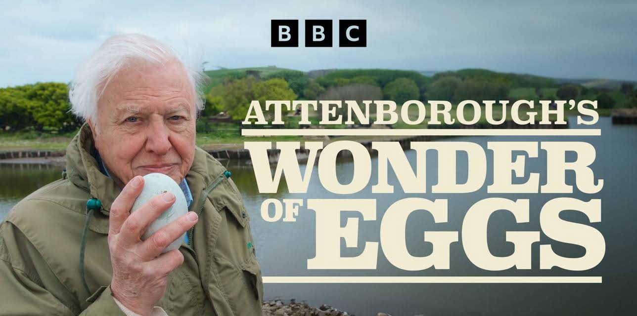 The Egg: Life's Perfect Invention (2021)