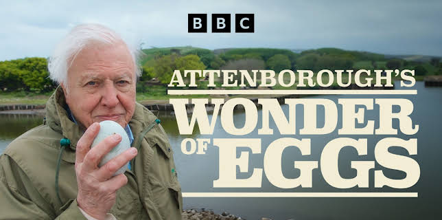 The Egg: Life's Perfect Invention (2021)