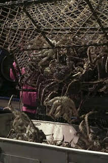 17:47: Pesca radical: Primera sangre | Discovery Max | 10/5 2026