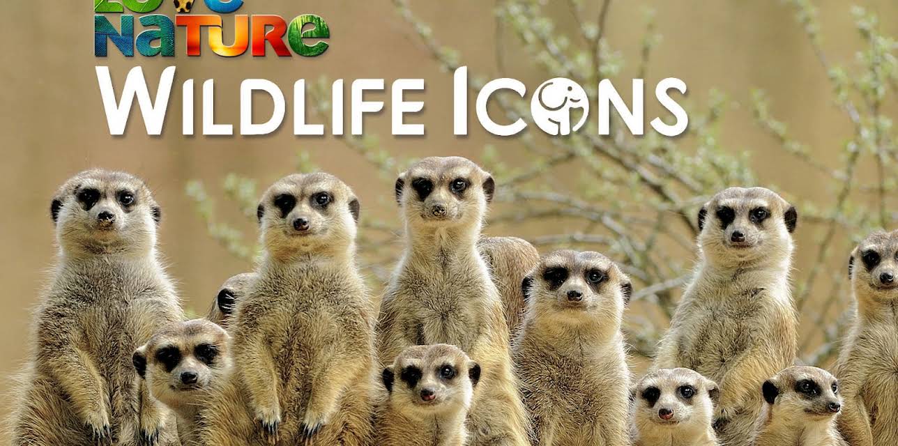 Wildlife Icons