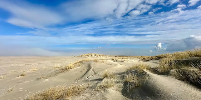 02:00: Nordseereport | Radio Bremen | 2/16 2026