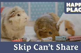 Happy Place: Skip Can't Share