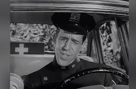 Car 54, Where Are You? Season 1: Catch me on the Paar Show