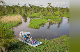 Wandering Down the Road: Journey to New Orleans (pilot)