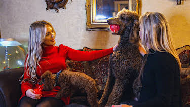 10:00 AM: Cats and Dogs at War (S1 E2) (S1) | 5 Star | 1/8 2026