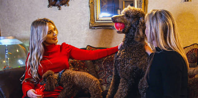 9:00 AM: Cats and Dogs at War (S1 E2) (S1) | 5 Star | 1/8 2026