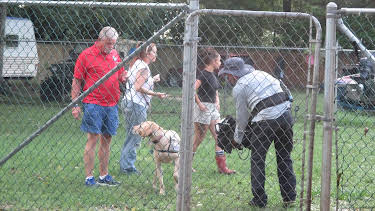 15:00: Pit Bulls & Parolees (S8 E16) (S8) | Animal Planet | 9/20 2026