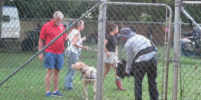 15:00: Pit Bulls & Parolees (S8 E16) (S8) | Animal Planet | 1/11 2026