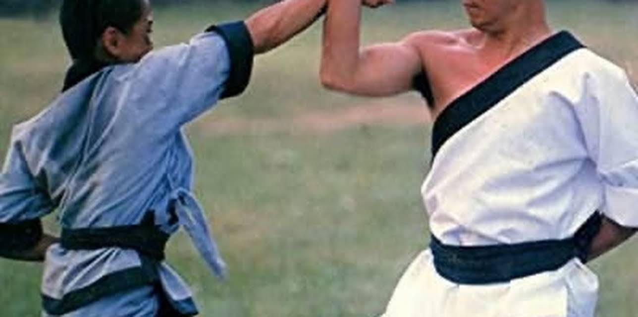 Shaolin Youth Posse (1972)