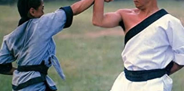 Shaolin Youth Posse (1972)