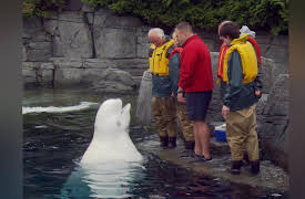 Canada's National Parks: British Columbia: Vancouver and Beyond