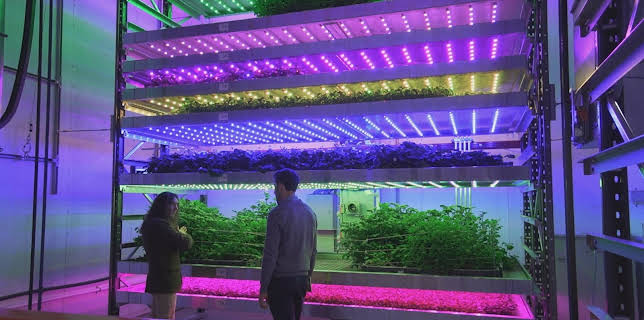 13:30: Genial konstruiert | ZDFinfo | 12/11 2025