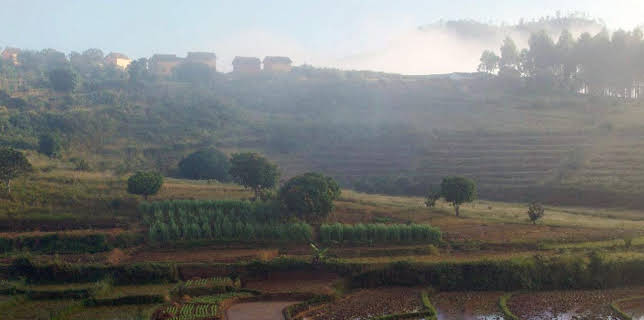 13:10: Stadt Land Kunst | Arte | 1/29 2026