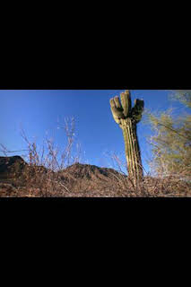 03:25: Desastre climático: Olas de calor | National Geographic | 3/31 2026