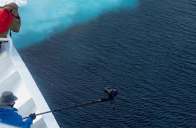 Polar Explorations: Basics of Polar Photography