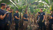 Yo Soy De Formación Profesional