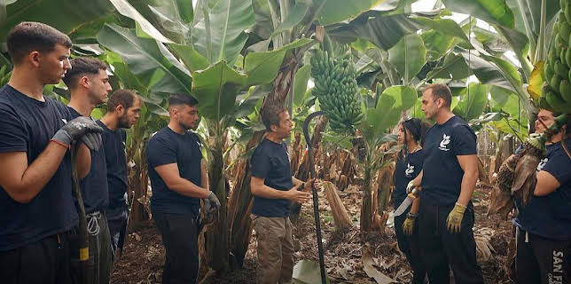 11:25: Yo Soy De Formación Profesional | LA 2 | 11/8 2025