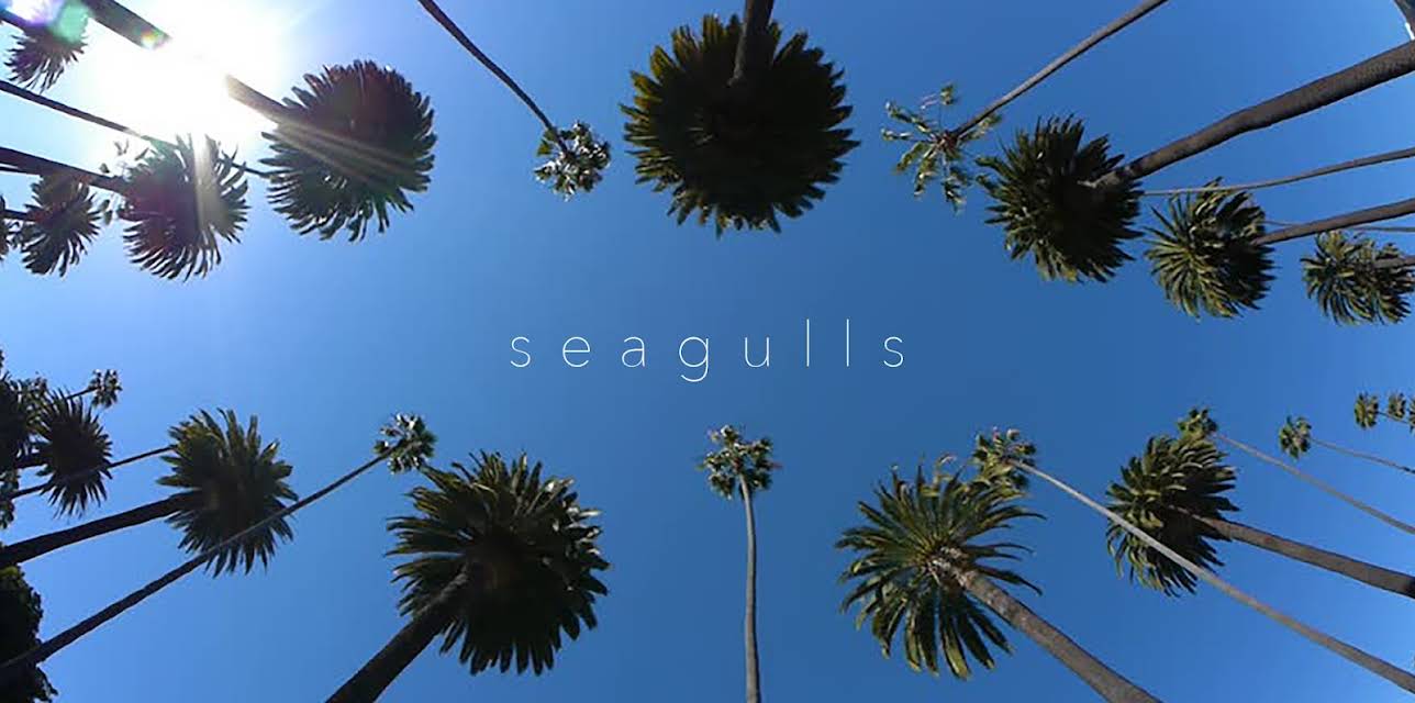 Seagulls