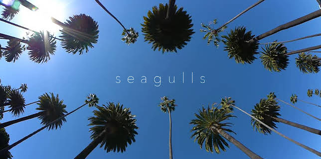 Seagulls