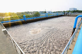 The Hidden Power of Microbes: Using Microbes to Solve Humanity’s Problems