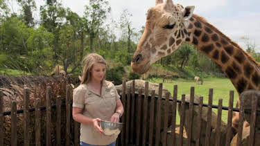 2:00 PM: Crikey! It's the Irwins (S1) | Discovery Channel | 6/16 2026