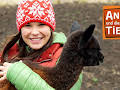 Anna und die wilden Tiere