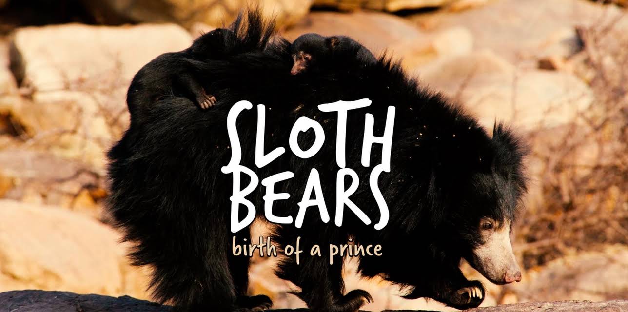Sloth Bears: Birth of a Prince (2020)