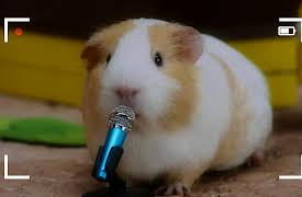 Mittens and Pants: Hopping Day