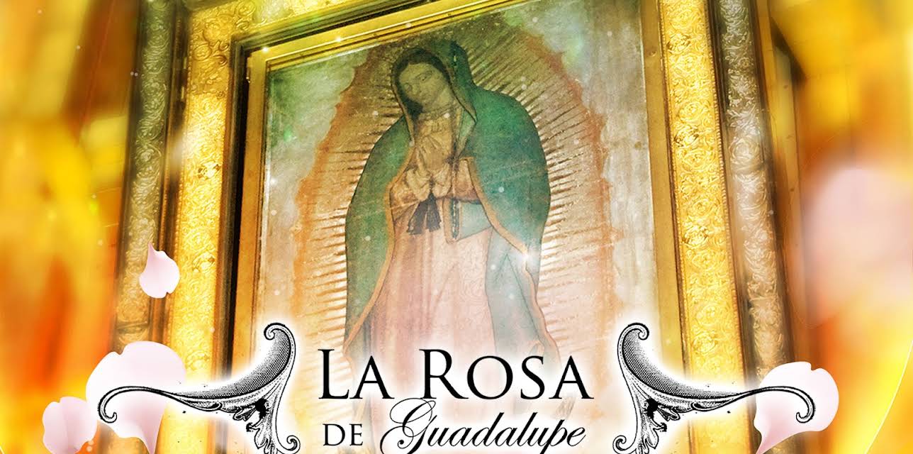 La Rosa de Guadalupe season-2024