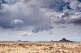 A New History of Life: Amniotes - The Shape of Things to Come