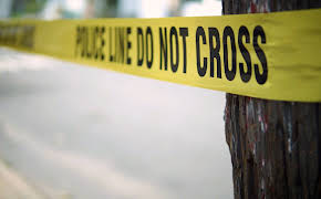 Medical Detectives - Geheimnisse der Gerichtsmedizin