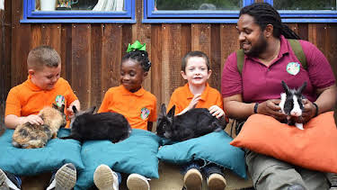 10:55 AM: Let's Go for a Walk (S1) | Cbeebies | 8/7 2026