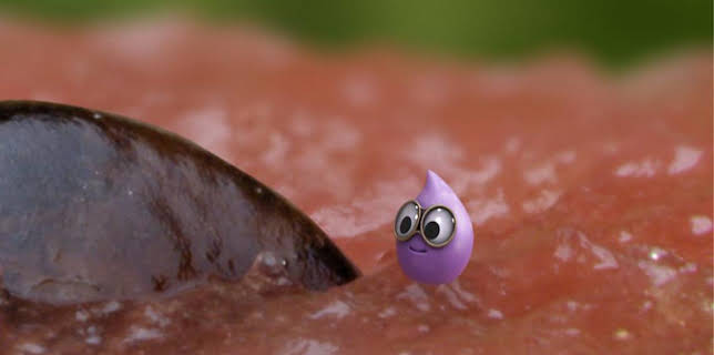 8:23 AM: Tiny Wonders (S1) | Cbeebies | 2/27 2026